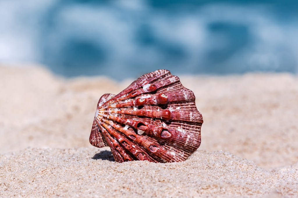 MX Content & Website Management is your full-service consultant to help with creating and managing your website needs.