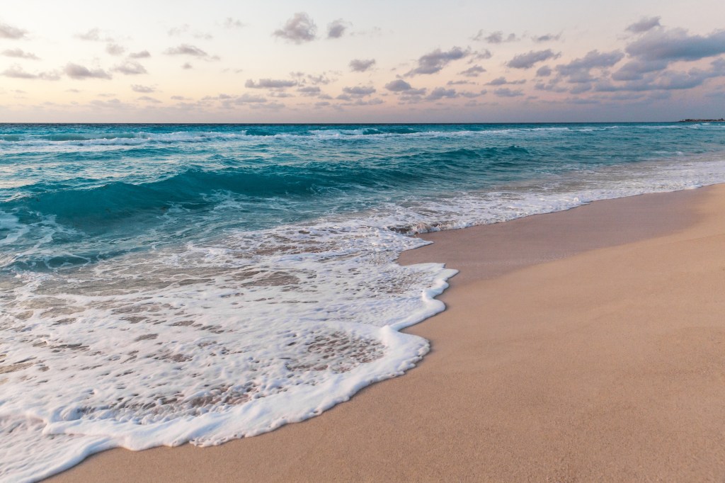 MX Content & Website Management is your full-service consultant to help with creating and managing your website needs.